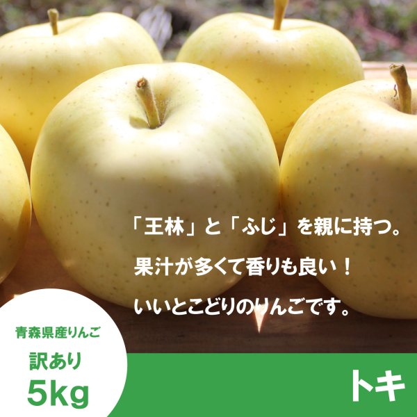 画像3: トキ　訳あり　１０kg（約40個前後） ≪送料込≫ (3)