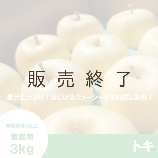 画像1: トキ　家庭用　３kg（約9-12個） ≪送料込≫ (1)