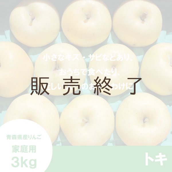 画像2: トキ　家庭用　３kg（約9-12個） ≪送料込≫ (2)