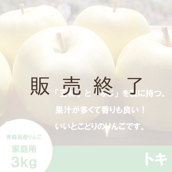 画像3: トキ　家庭用　３kg（約9-12個） ≪送料込≫ (3)