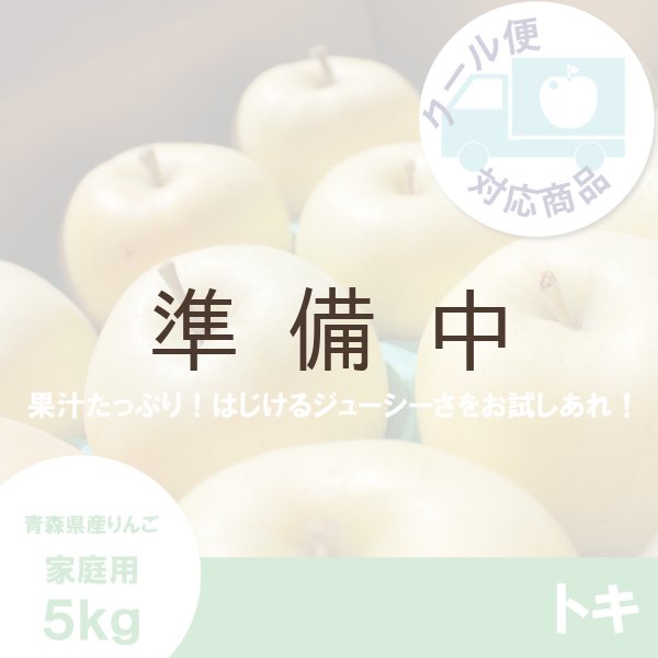 画像1: トキ　家庭用　５kg（約14-20個） ≪送料込≫ (1)