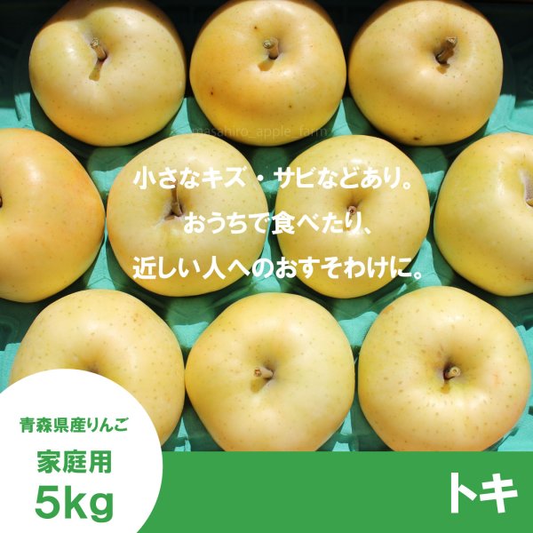 画像2: トキ 家庭用 5kg(約14-20個) ≪送料込≫ (2)