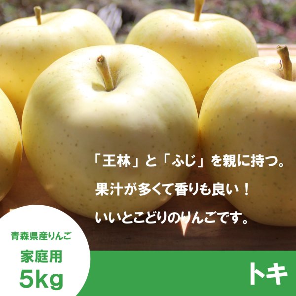 画像3: トキ 家庭用 5kg(約14-20個) ≪送料込≫ (3)