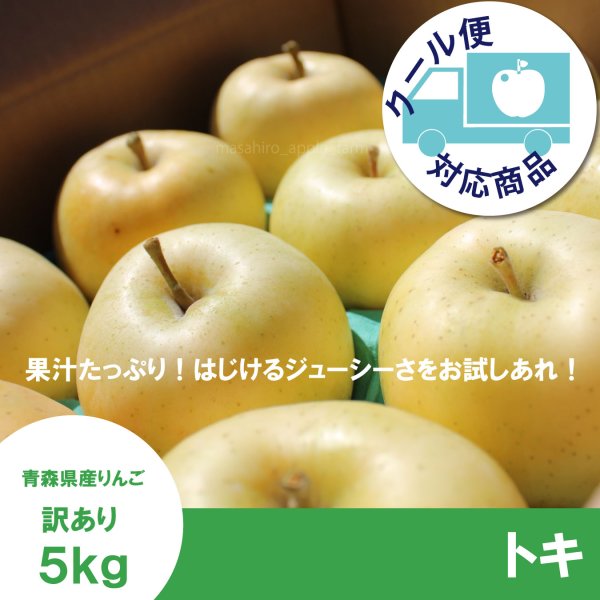 画像1: トキ　訳あり　５kg（約20個程度） ≪送料込≫ (1)