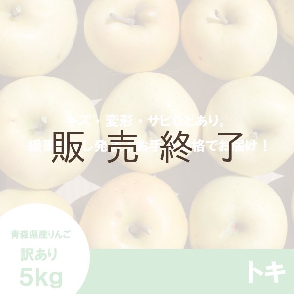 画像2: トキ　訳あり　５kg（約20個程度） ≪送料込≫ (2)