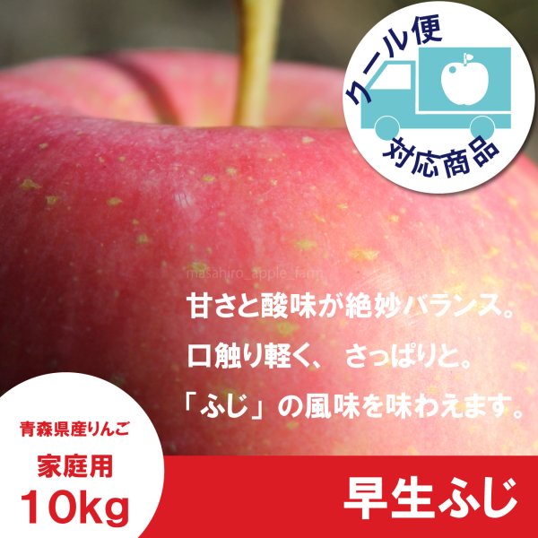 画像1: 早生ふじ　家庭用　１０kg（約28-40個）≪送料込≫ (1)