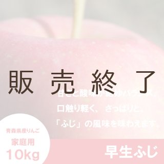 サンつがる【訳あり10kg】｜まさひろ林檎園