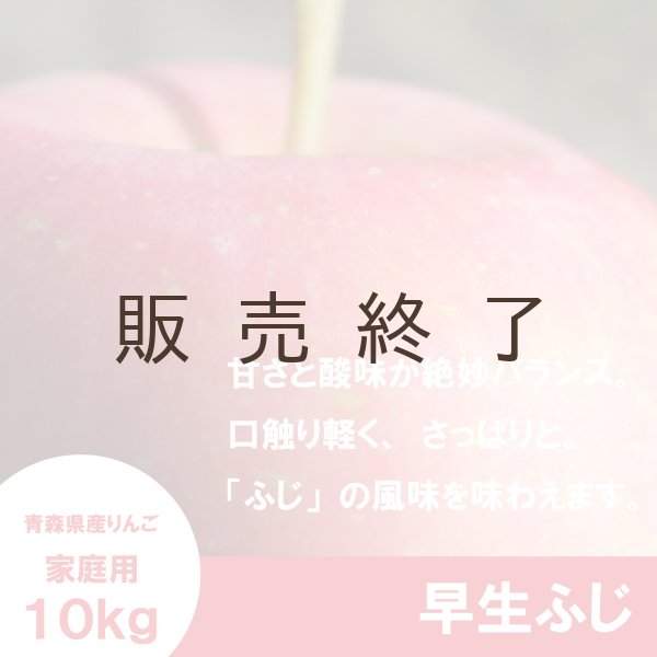 画像1: 早生ふじ　家庭用　１０kg（約28-40個）≪送料込≫ (1)