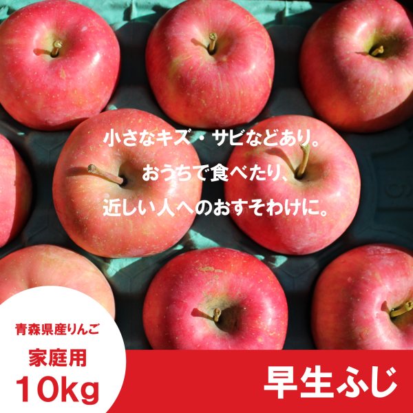 画像2: 早生ふじ　家庭用　１０kg（約28-40個）≪送料込≫ (2)