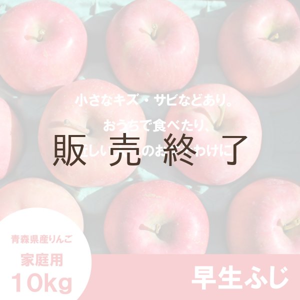 画像2: 早生ふじ　家庭用　１０kg（約28-40個）≪送料込≫ (2)