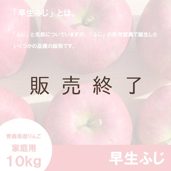 画像3: 早生ふじ　家庭用　１０kg（約28-40個）≪送料込≫ (3)