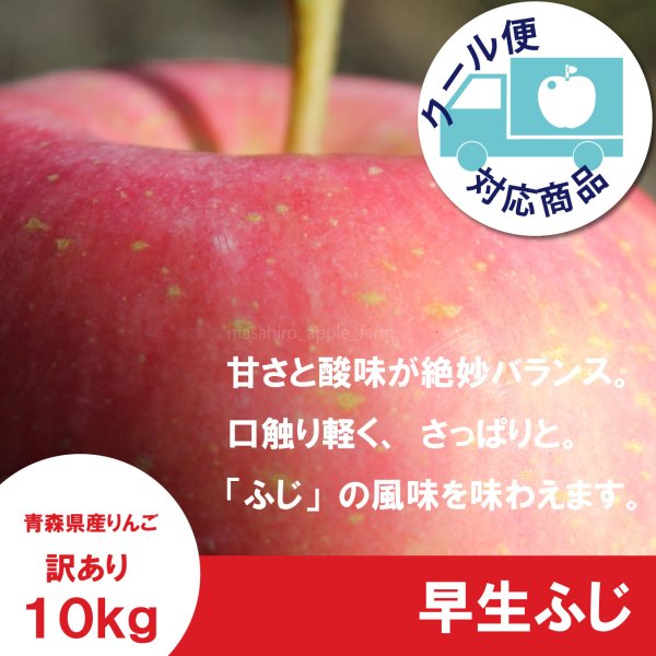画像1: 早生ふじ　訳あり　１０kg（約40個前後）≪送料込≫ (1)