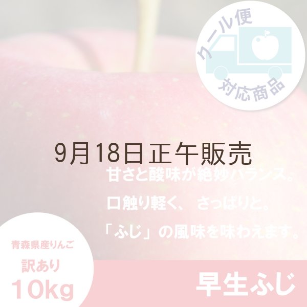画像1: ※10月中旬発送予定※ 早生ふじ　訳あり　１０kg（約40個前後）≪送料込≫ (1)