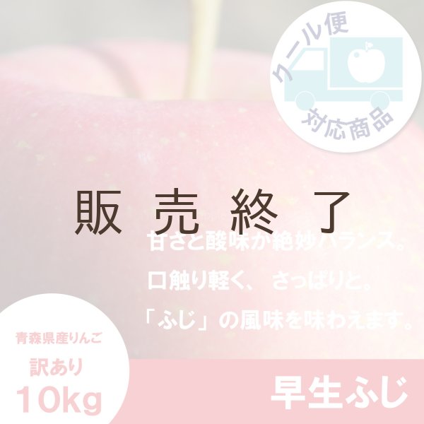 画像1: 早生ふじ　訳あり　１０kg（約40個前後）≪送料込≫ (1)