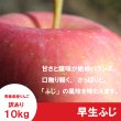 画像6: 早生ふじ　訳あり　１０kg（約40個前後）≪送料込≫ (6)