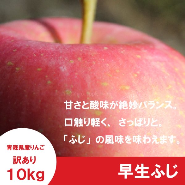 画像6: 早生ふじ　訳あり　１０kg（約40個前後）≪送料込≫ (6)