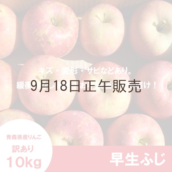 画像2: ※10月中旬発送予定※ 早生ふじ　訳あり　１０kg（約40個前後）≪送料込≫ (2)
