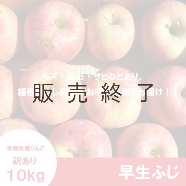 画像2: 早生ふじ　訳あり　１０kg（約40個前後）≪送料込≫ (2)