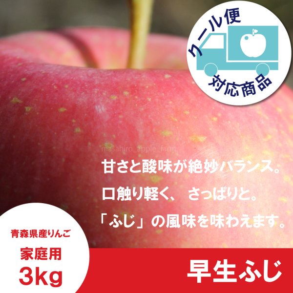 画像1: 早生ふじ　家庭用　３kg（約9-12個） ≪送料込≫ (1)