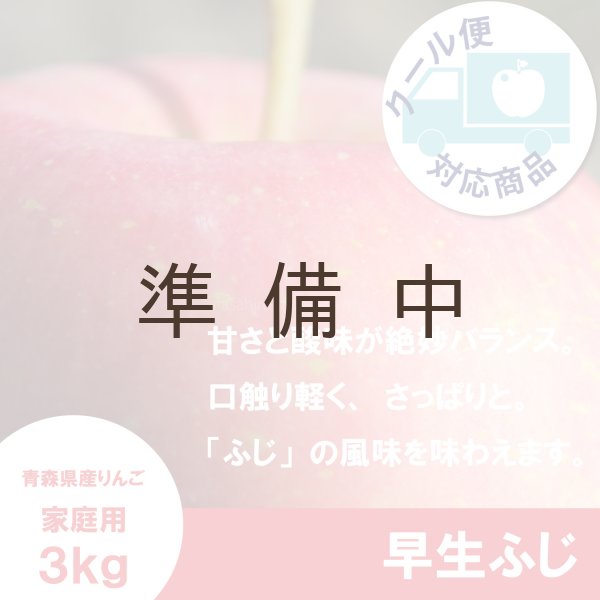 画像1: 早生ふじ　家庭用　３kg（約9-12個） ≪送料込≫ (1)