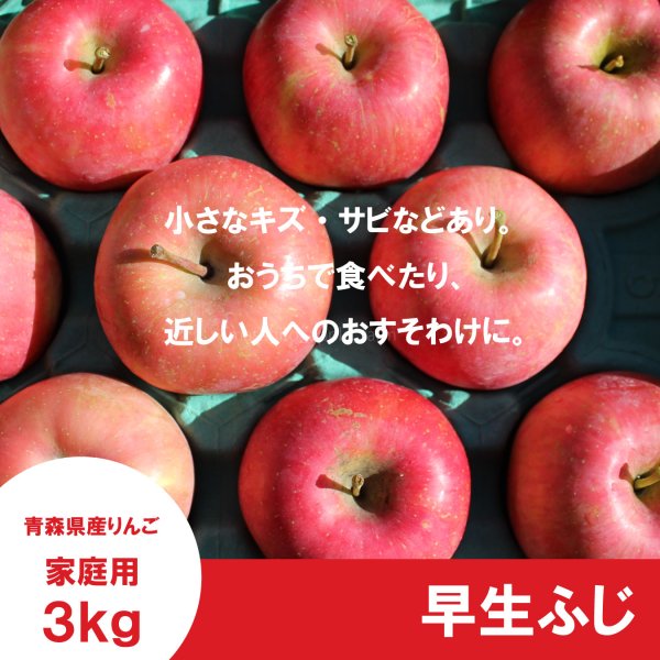 画像2: 早生ふじ　家庭用　３kg（約9-12個） ≪送料込≫ (2)