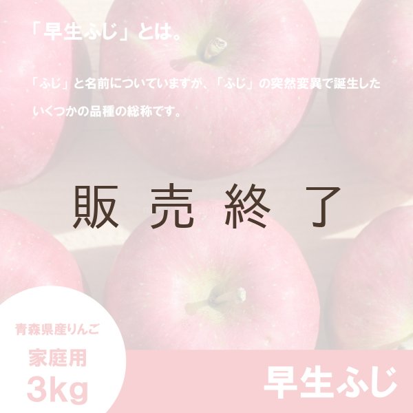 画像3: 早生ふじ　家庭用　３kg（約9-12個） ≪送料込≫ (3)