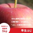 画像1: 早生ふじ　家庭用　５kg（約14-20個） ≪送料込≫ (1)