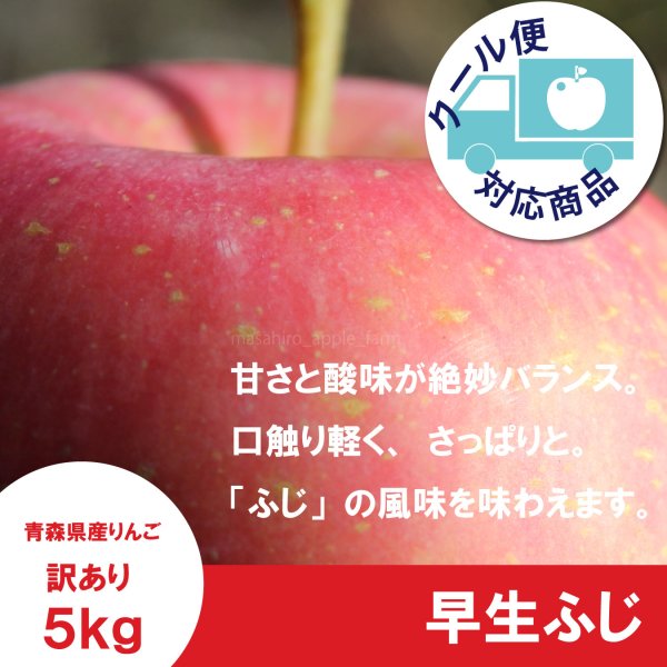 画像1: 早生ふじ 訳あり 5kg(約20個前後) ≪送料込≫ (1)