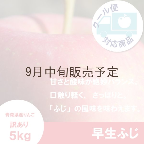 画像1: ※9月中旬販売予定※　早生ふじ　訳あり　５kg（約20個前後） ≪送料込≫ (1)