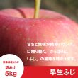 画像1: 早生ふじ　訳あり　５kg（約20個前後） ≪送料込≫ (1)