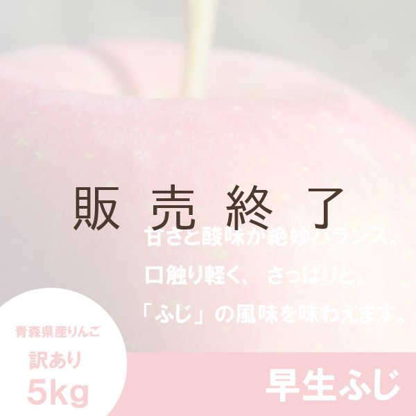 画像1: 早生ふじ　訳あり　５kg（約20個前後） ≪送料込≫ (1)