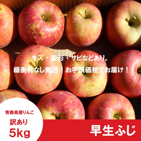 画像2: 早生ふじ 訳あり 5kg(約20個前後) ≪送料込≫ (2)