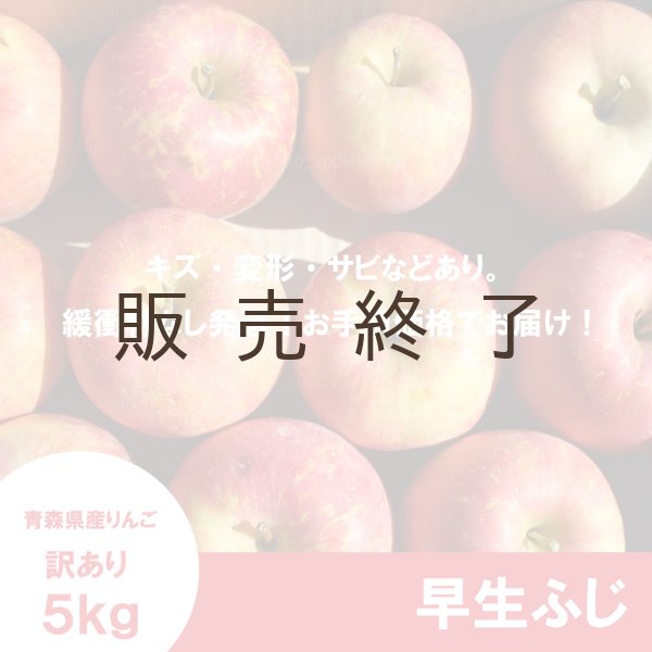 画像2: 早生ふじ　訳あり　５kg（約20個前後） ≪送料込≫ (2)