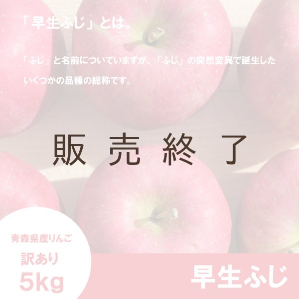 画像3: 早生ふじ　訳あり　５kg（約20個前後） ≪送料込≫ (3)