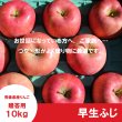 画像3: ※10月上〜中旬発送予定※ 早生ふじ　贈答用　１０kg（約9-12個） ≪送料込≫ (3)
