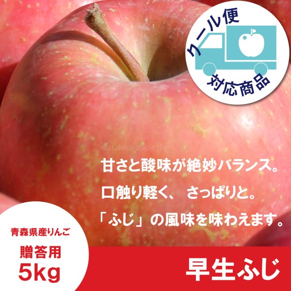 画像1: ※10月上〜中旬発送予定※ 早生ふじ　贈答用　５kg（約9-12個） ≪送料込≫ (1)