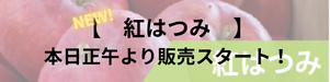 鮮やかな紅色！紅はつみ