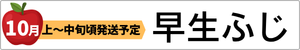 一足早いふじを早生ふじ