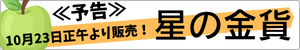 とても繊細だから星の金貨