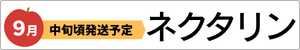 ネクタリン