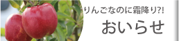 りんごなのに霜降り⁉︎おいらせ