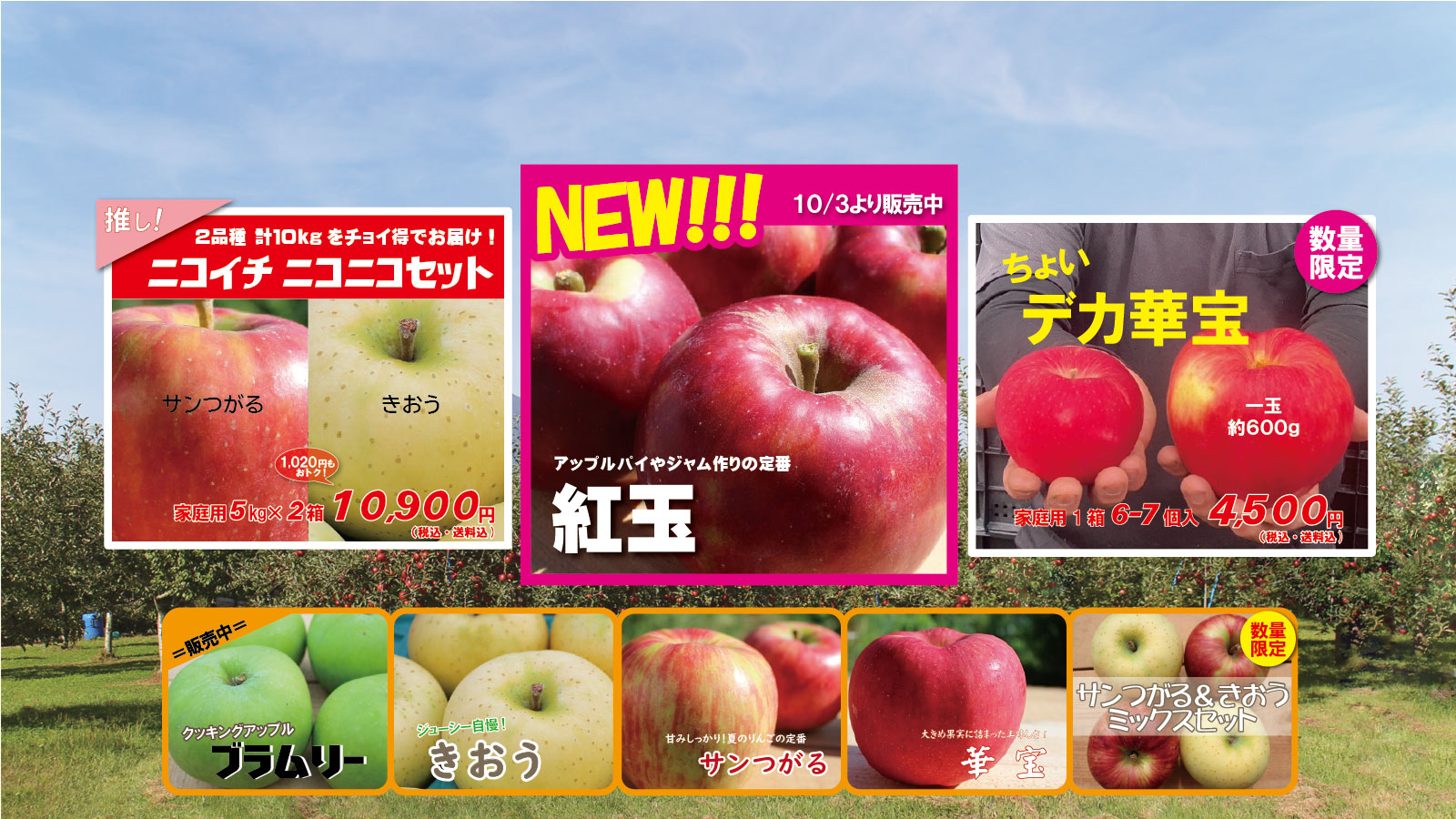 ぴろぴろりんさん専用 HONDA ホンダ ピストンリングコンプレッサー 2点セット 07954