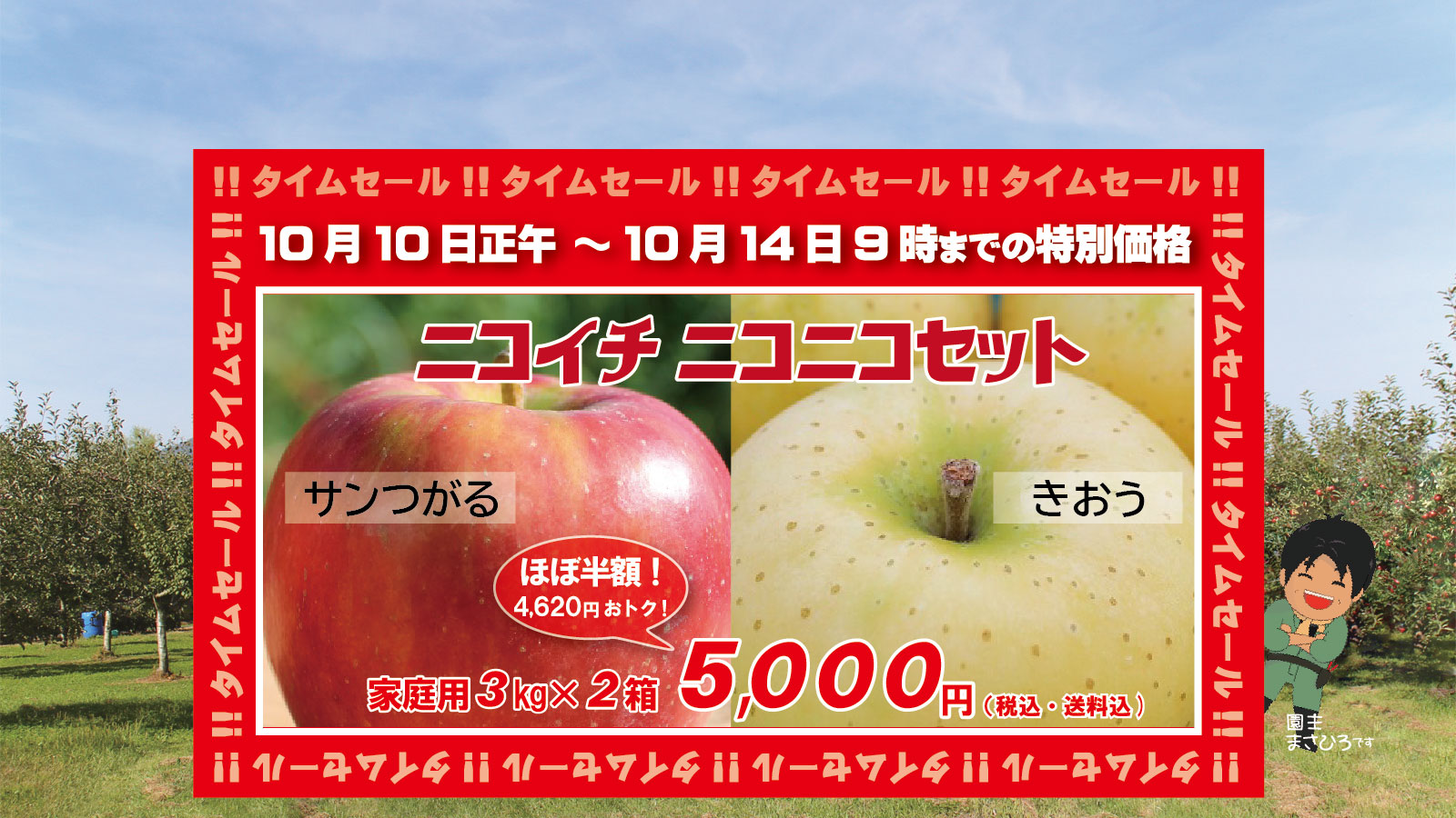 りんごさん専用 りんご りんご・専用【シ2×3】 りんご様 りんご様 ZX-R30 公式限定