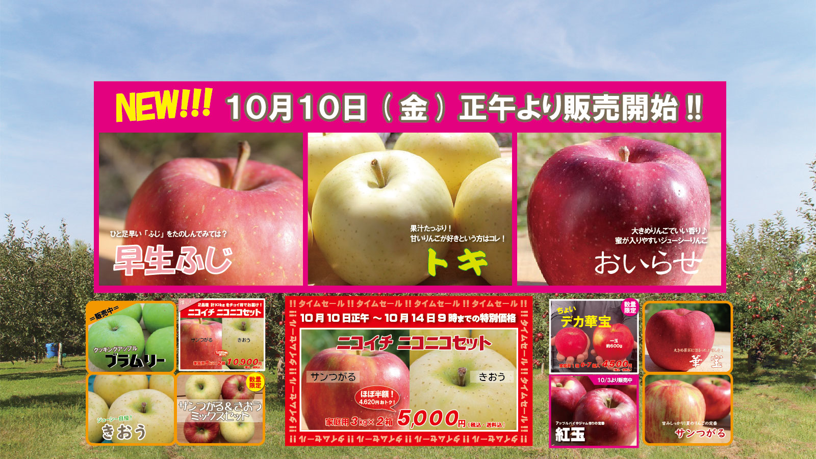 青森りんご｜産地直送・通販のまさひろ林檎園