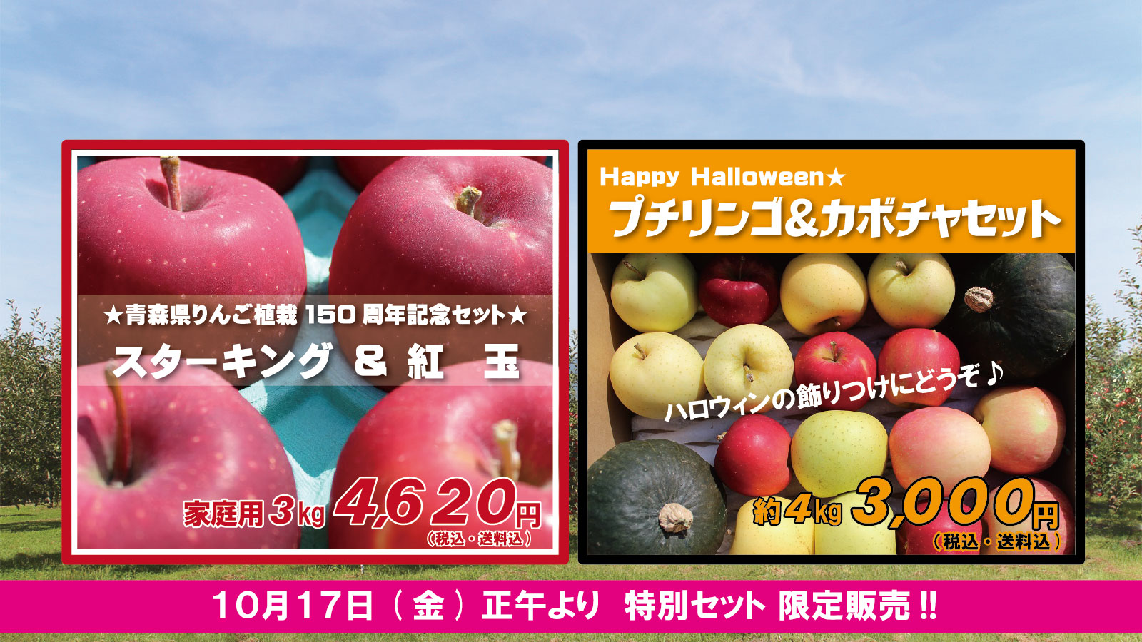 クリックで購入ページへ