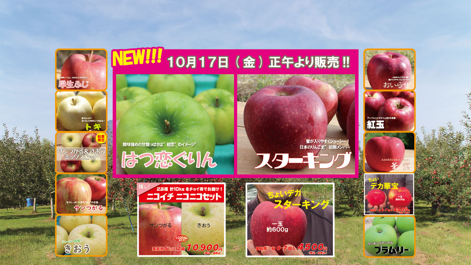 【まさパパ】新鮮なりんご10kg　品種色々 まさパパ】新鮮なりんご10kg 品種色々 まさパパ様専用】新鮮な