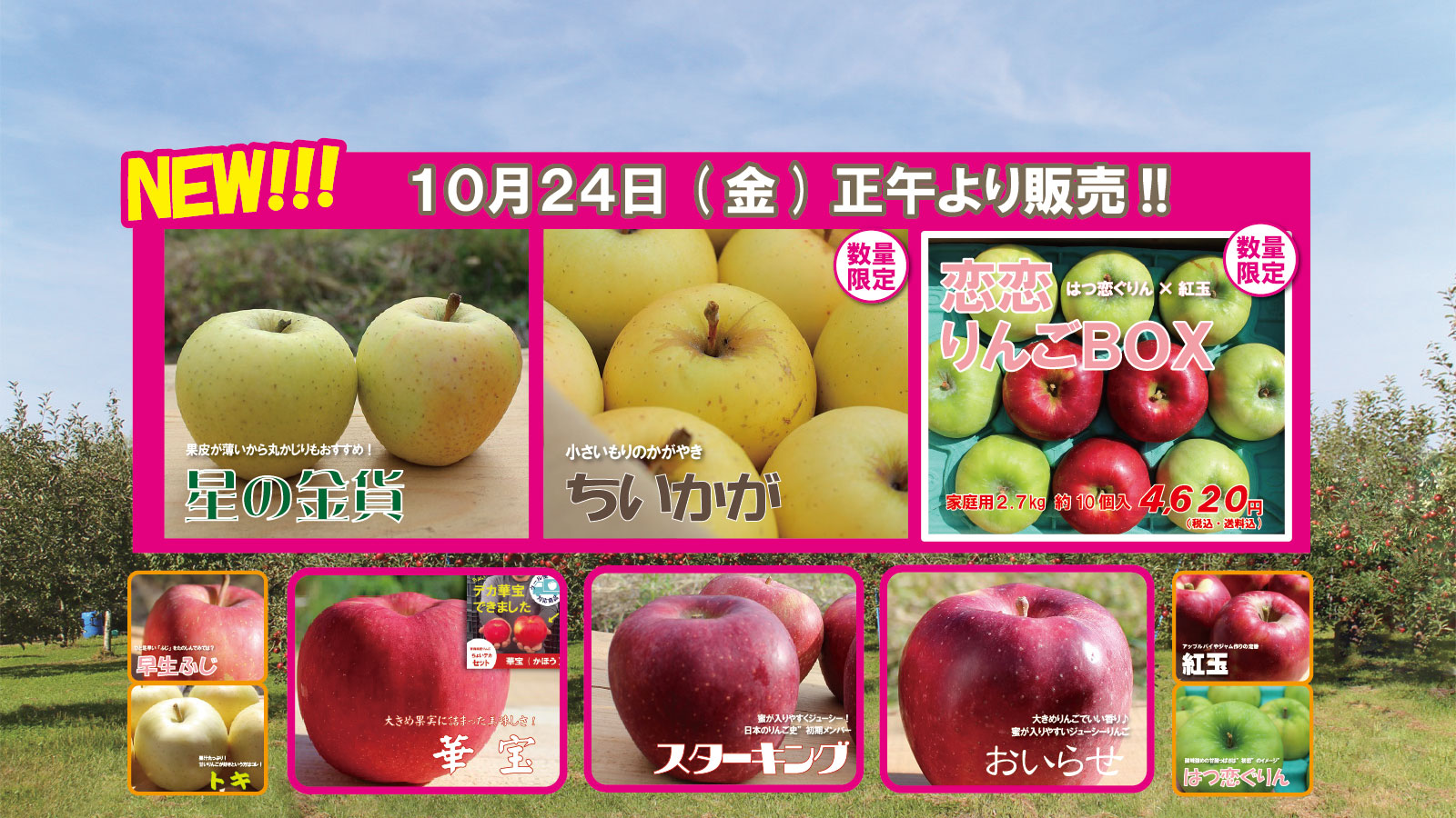 青森りんご｜産地直送・通販のまさひろ林檎園