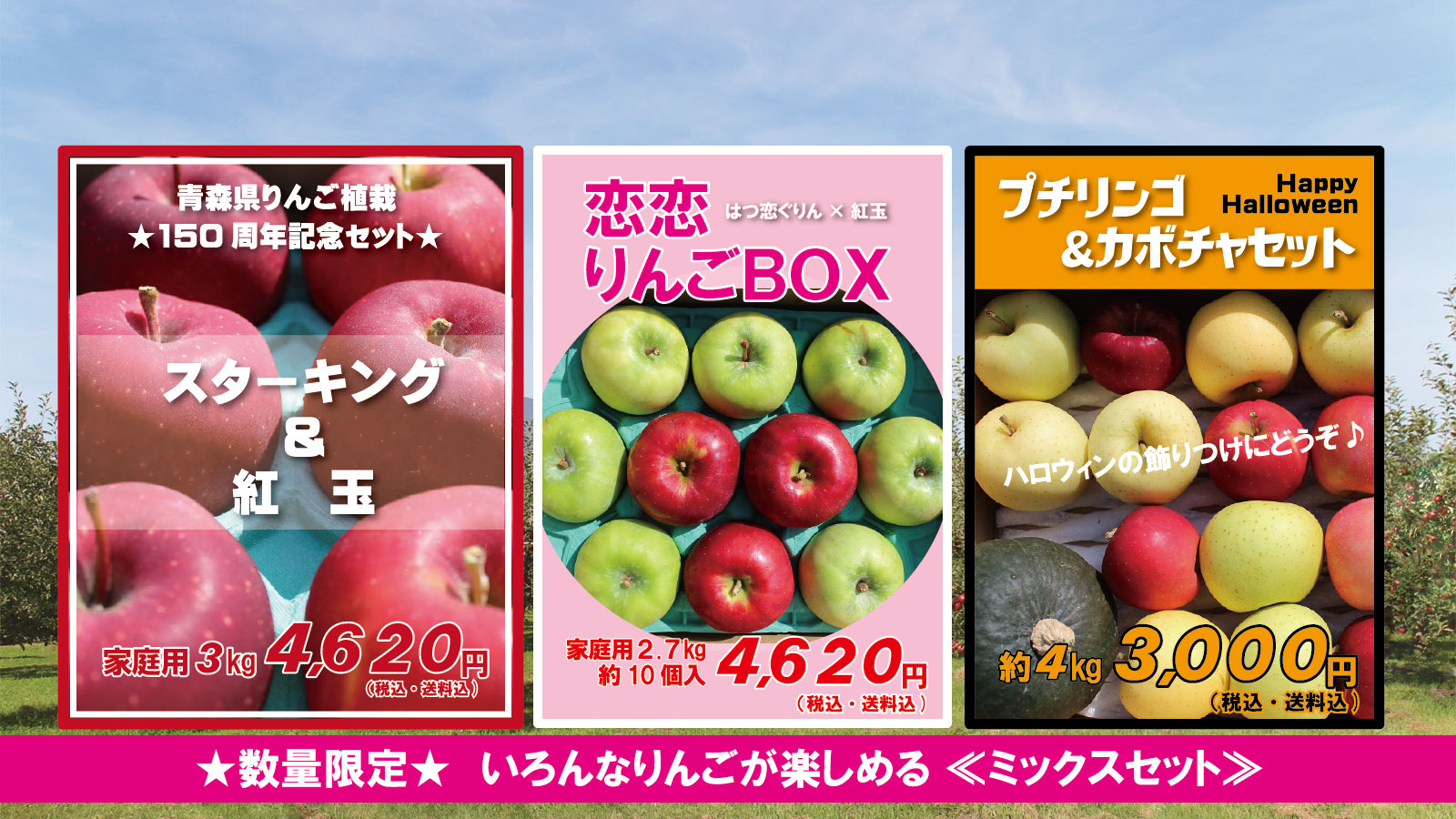 ひろりん出品（他の方は購入をご遠慮ください） 手縫い針 『セルフ針 取合せ 13-305』 Clover クロバー