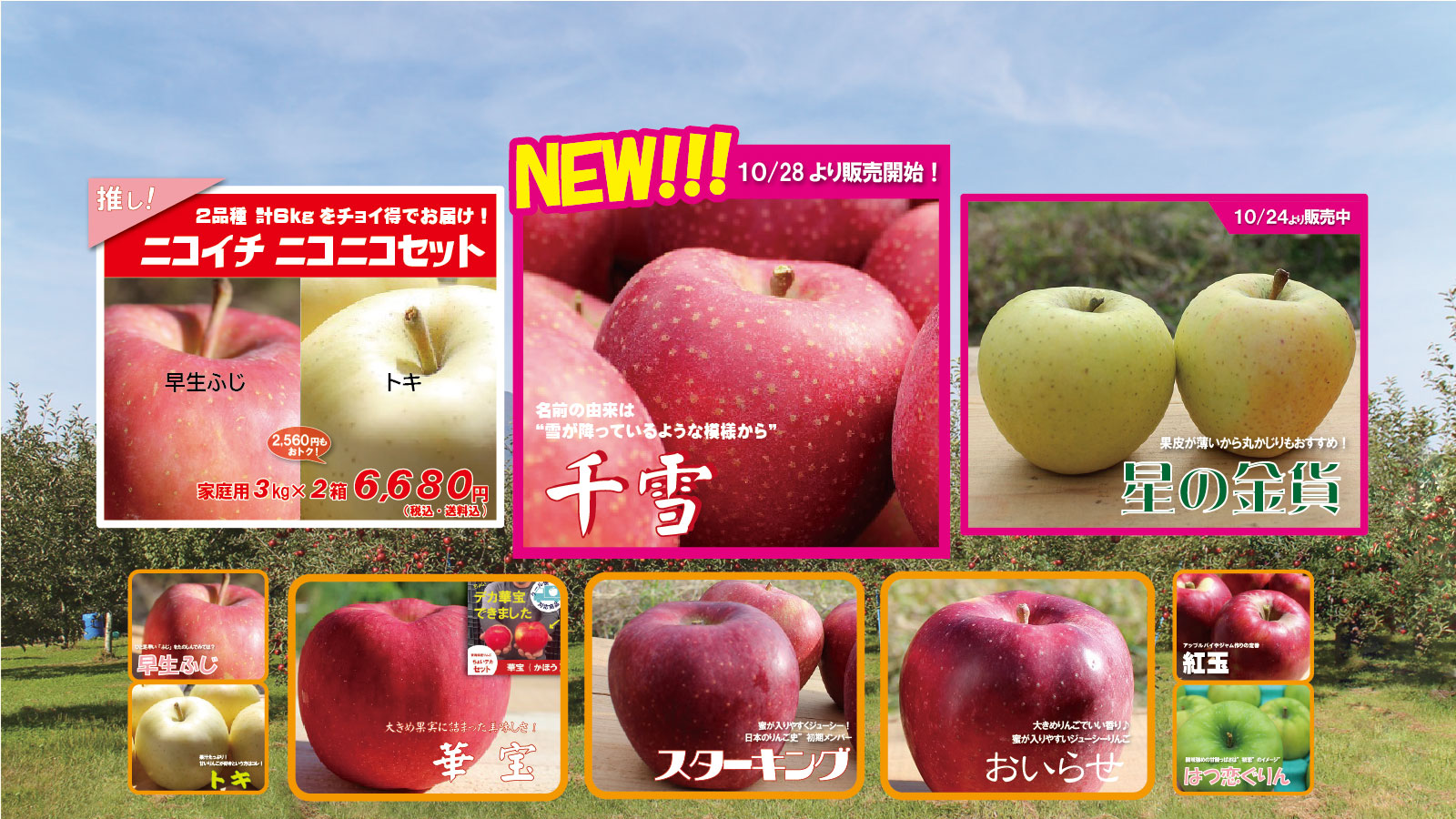 青森りんご｜産地直送・通販のまさひろ林檎園