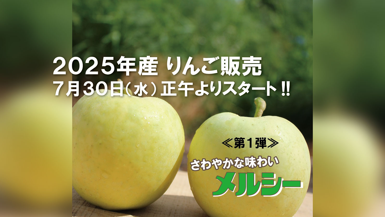 青森県産＂ 青林 ＂りんご 加工用 20kg 産地直送 リンゴ 林檎 楽天市場】≪超訳あり≫ 青森 りんご 約 20kg（入れ物込み重量